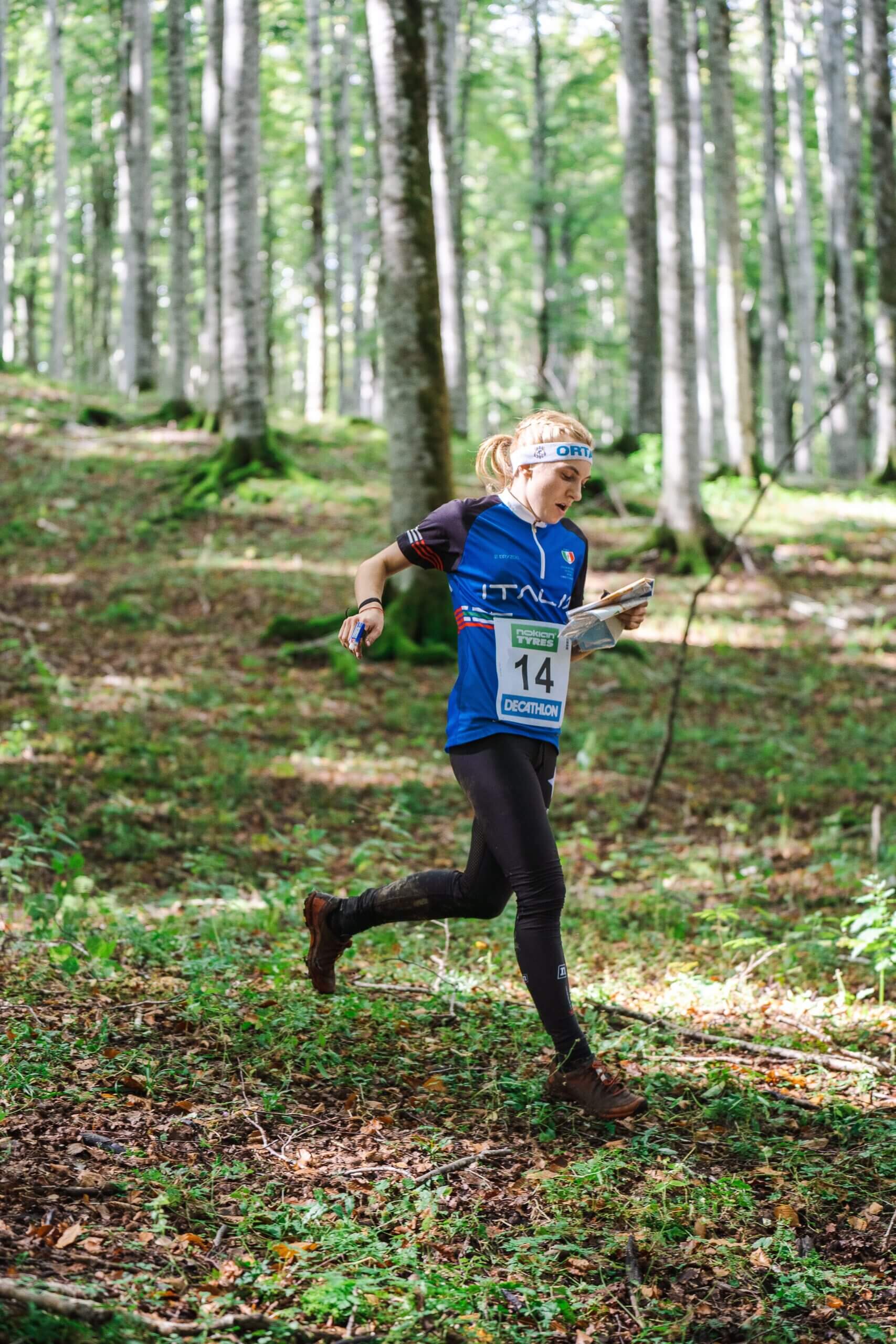 Orienteering Tarzo will organise the first edition of the Cansiglio Orienteering Meeting